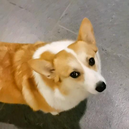 🌈享受快乐今天