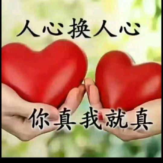 🐰记录美好生活🐰