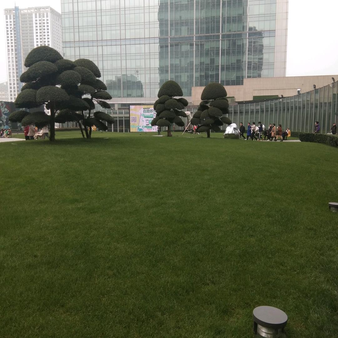 :心情愉快