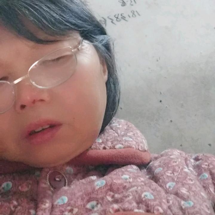 南小鸟
