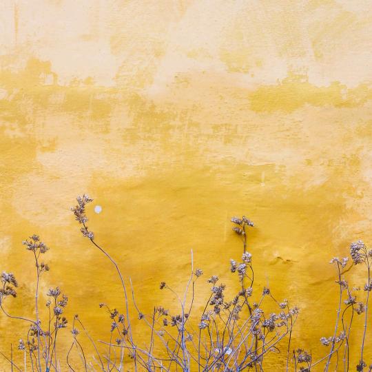 ٩(•̤̀ᵕ•̤́๑)ᵒᵏᵎᵎᵎᵎ