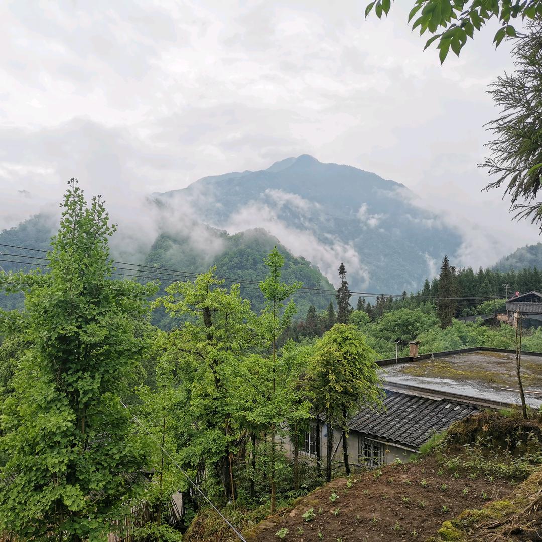清风明月