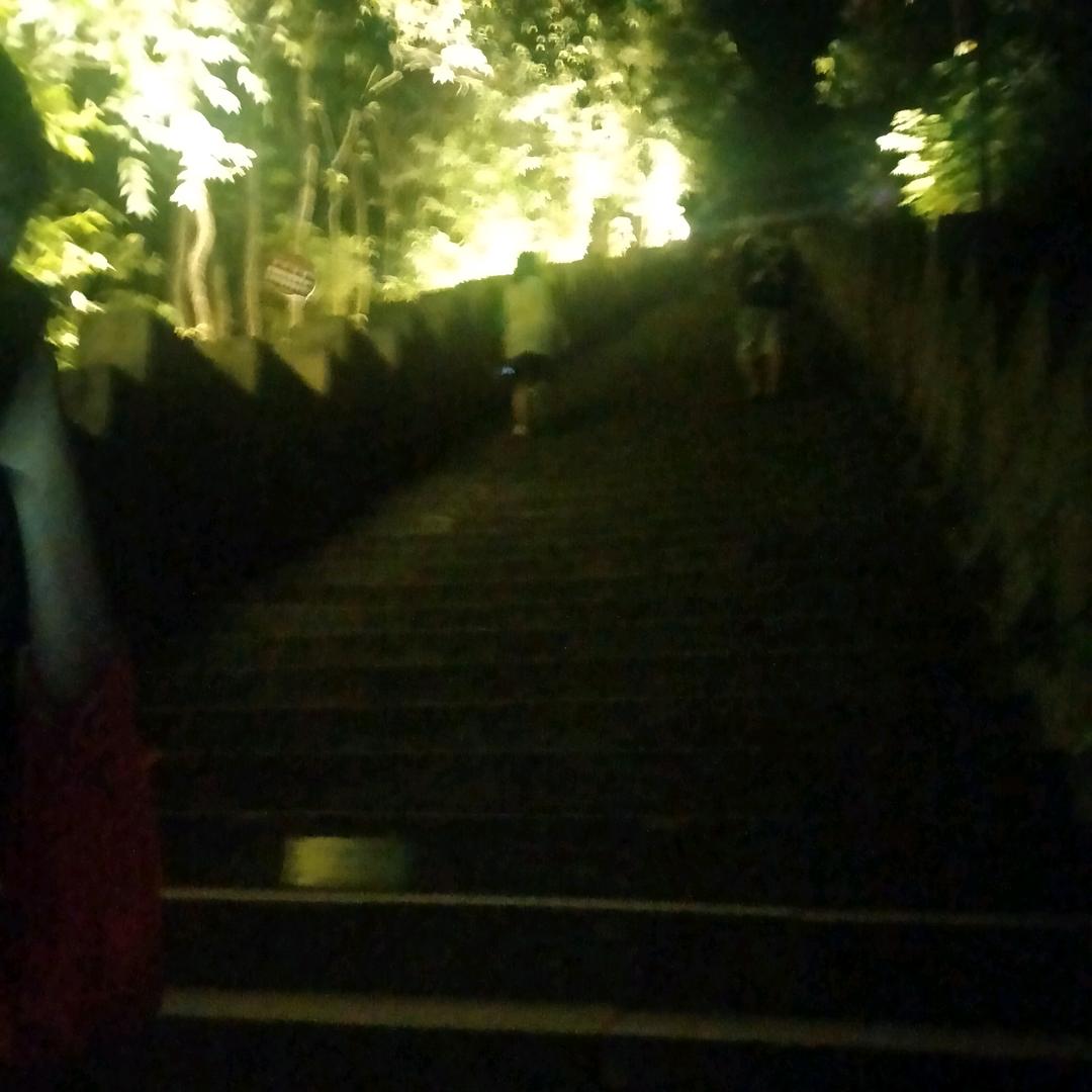 努力奋斗