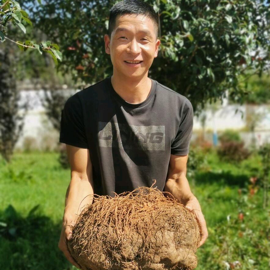 土生土长农业
