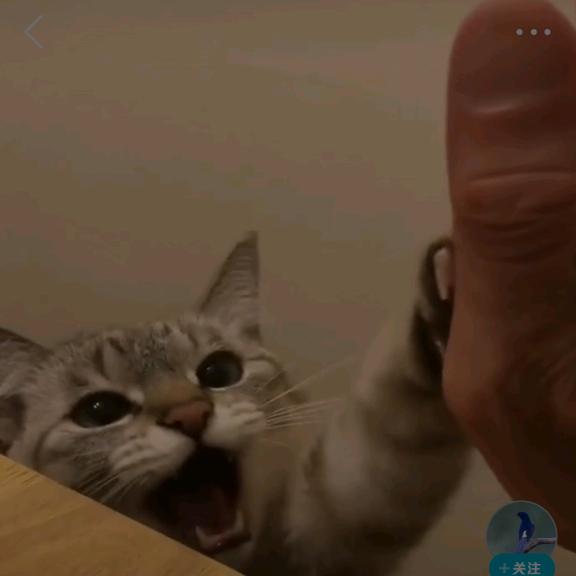 千面