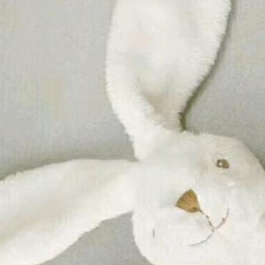 东方教主