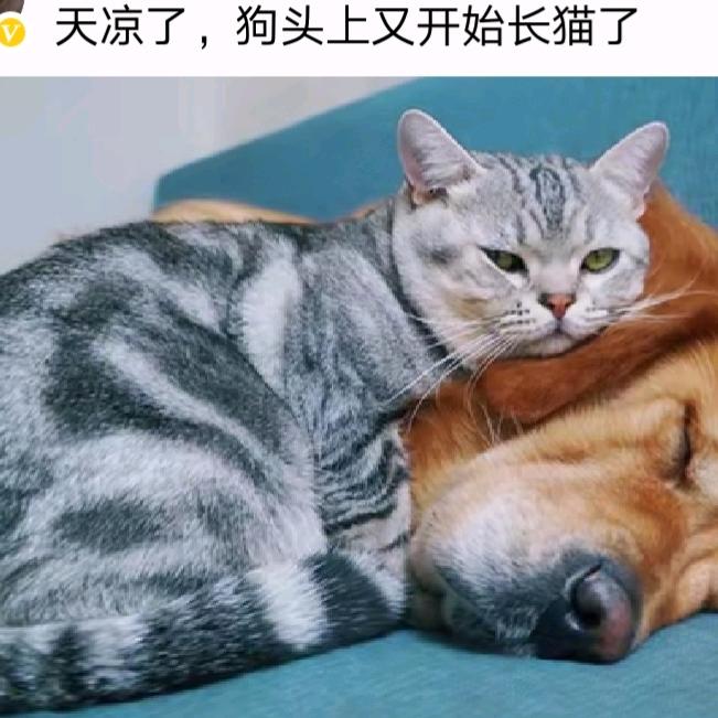 大宝