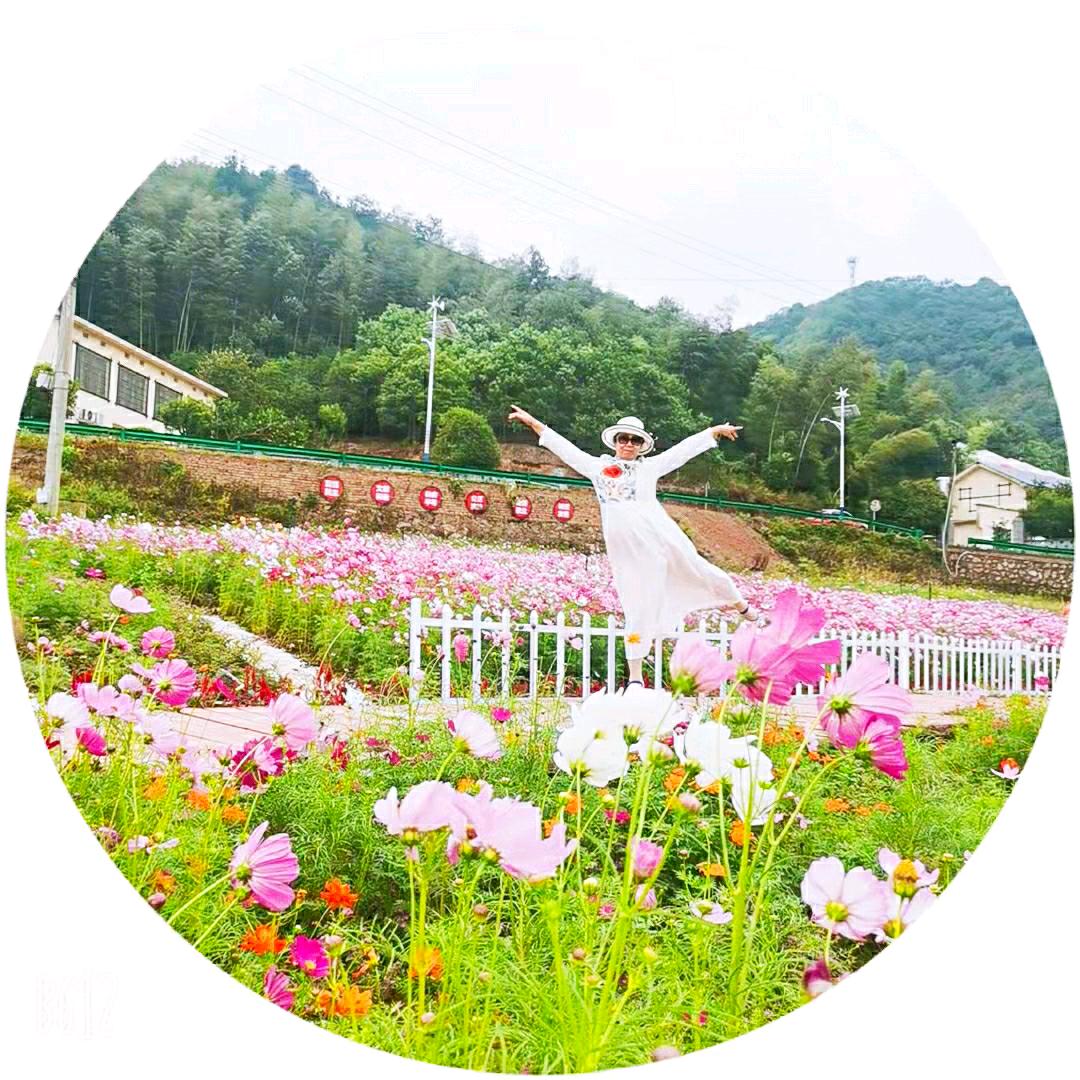 慧雅