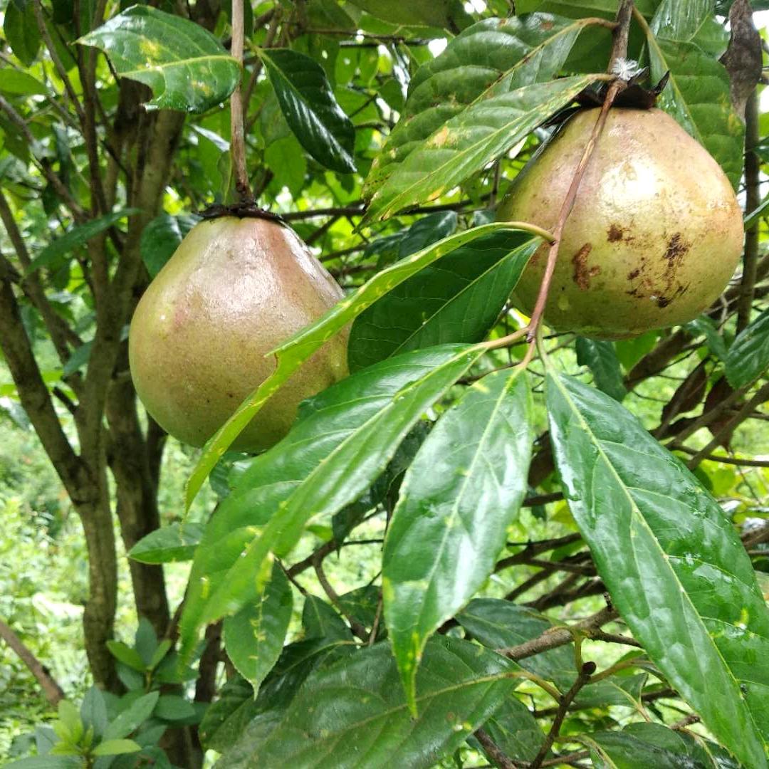 🌻阳光明媚🌻