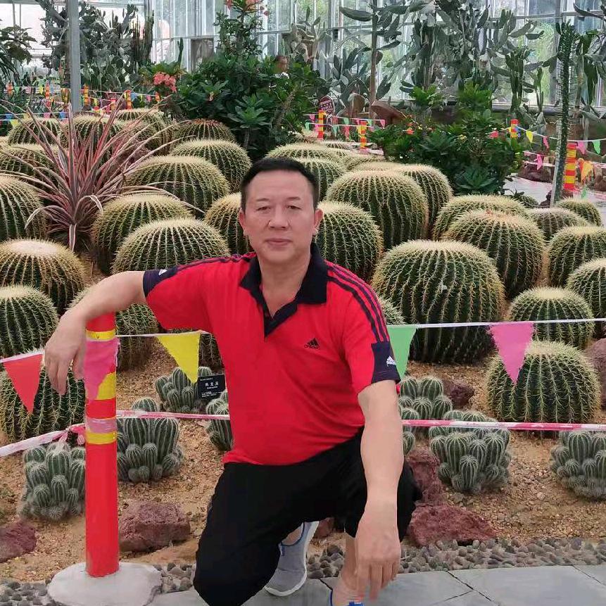杨永琪