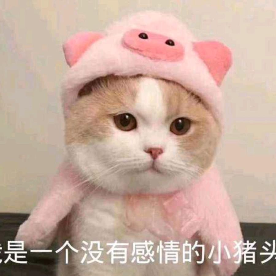 Viky小记