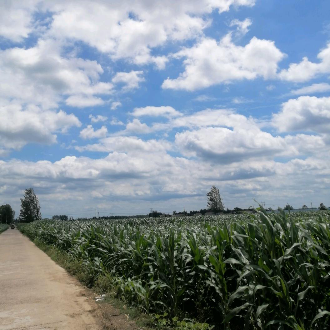 伤心好想回到从前_