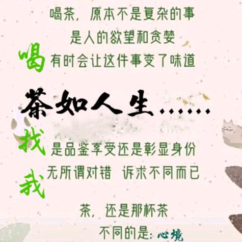杯中故事【茶小二】