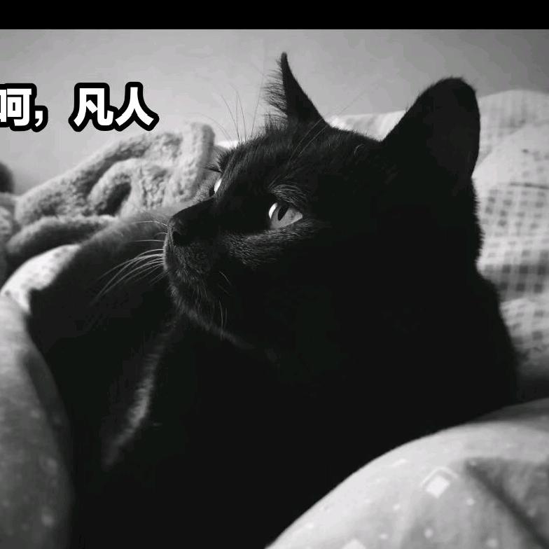 那个b嘴淬了毒语出惊人的西瓜条子