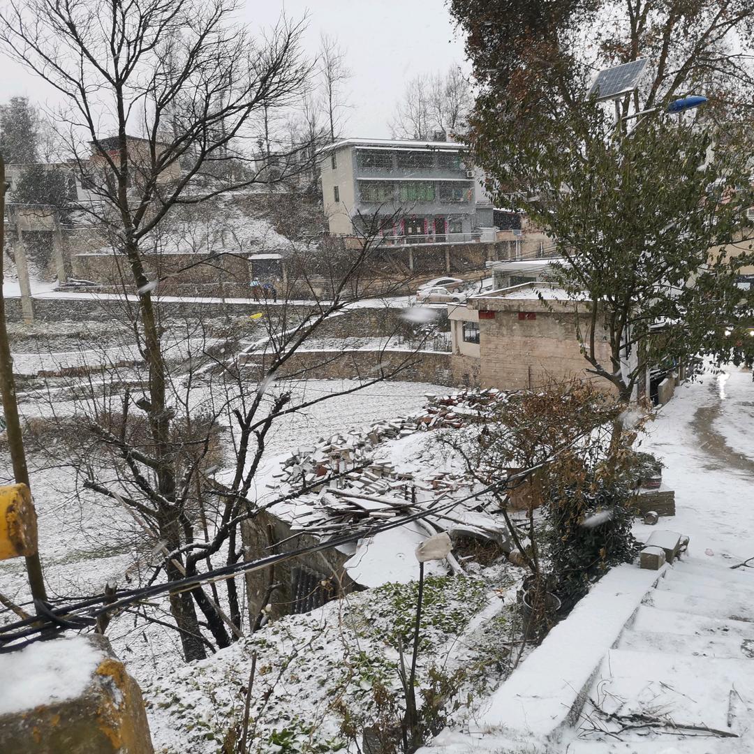 用户4125190690681孤独的我