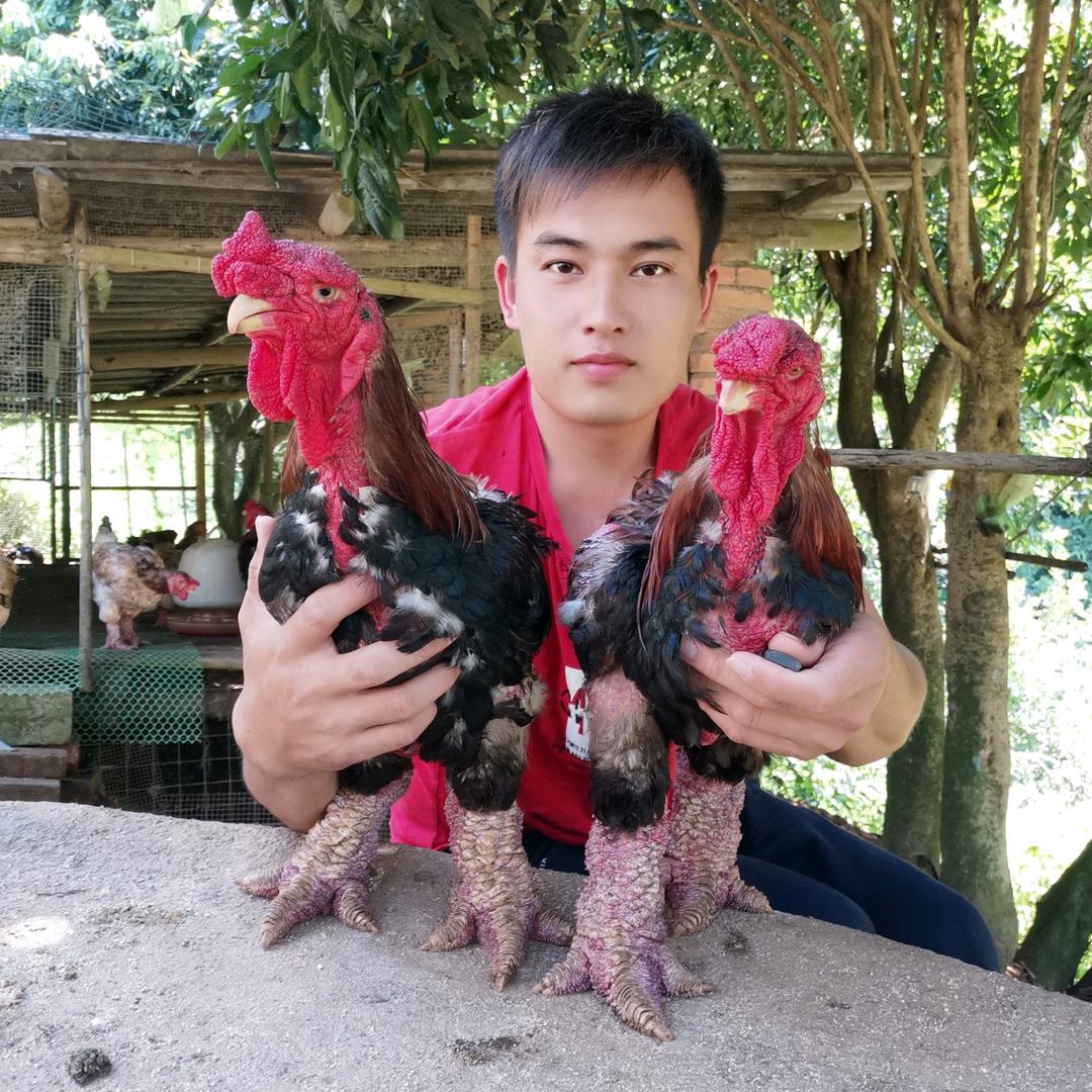 远东农场