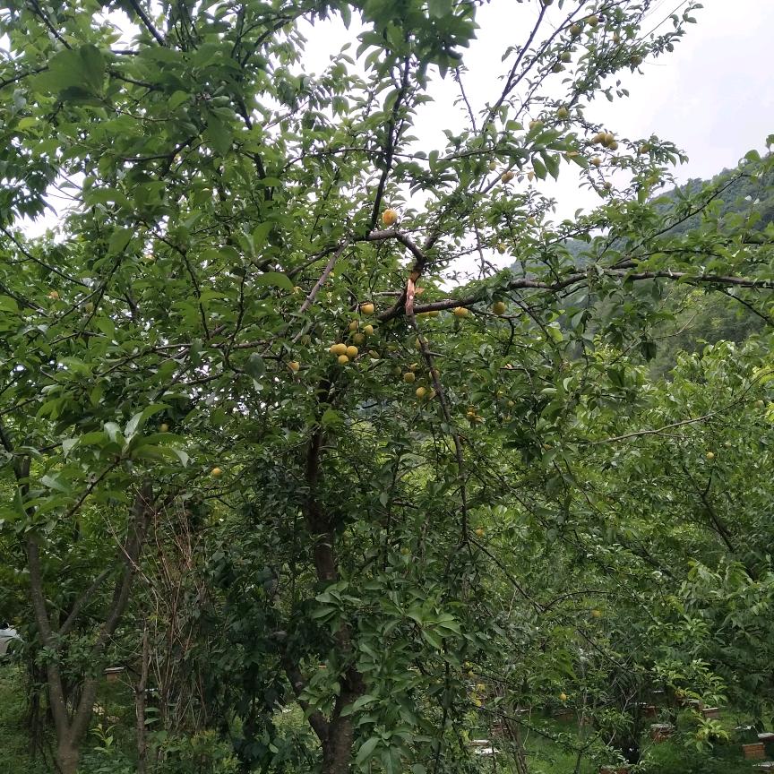 迷途的邂逅