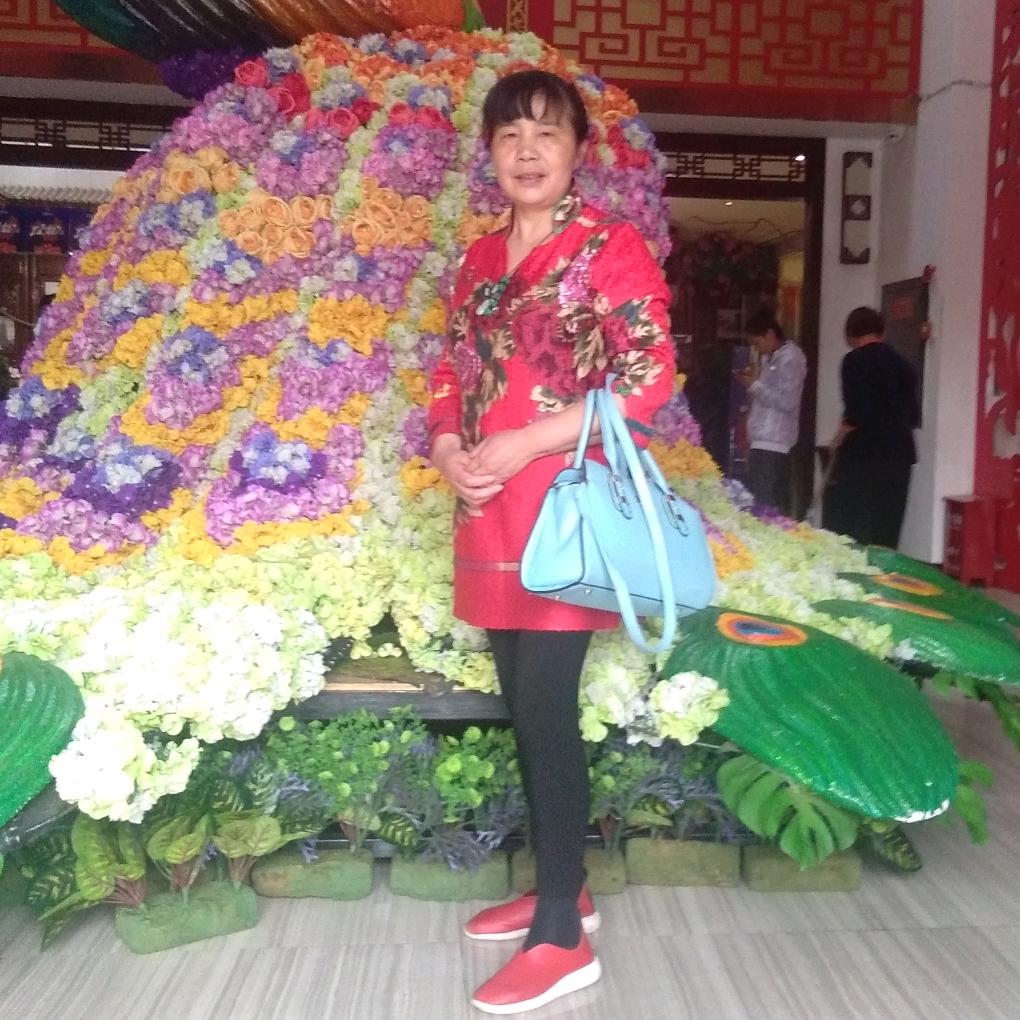 月亮梅梅