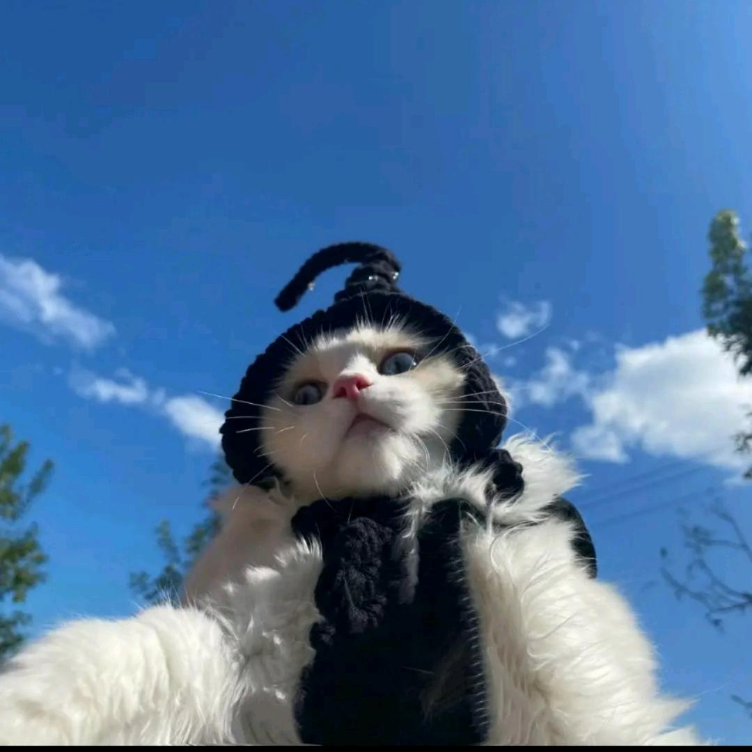 W～