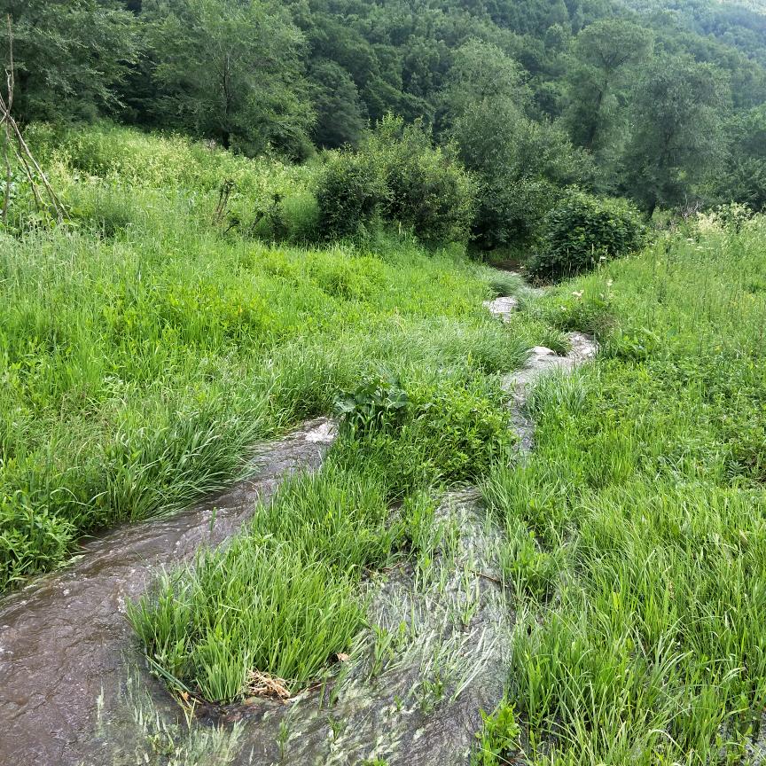 我就是我。。。。