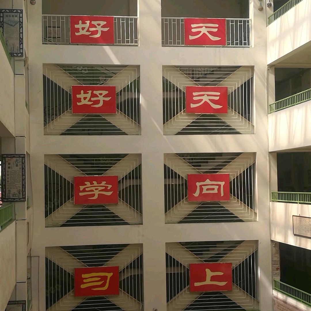 没有没有