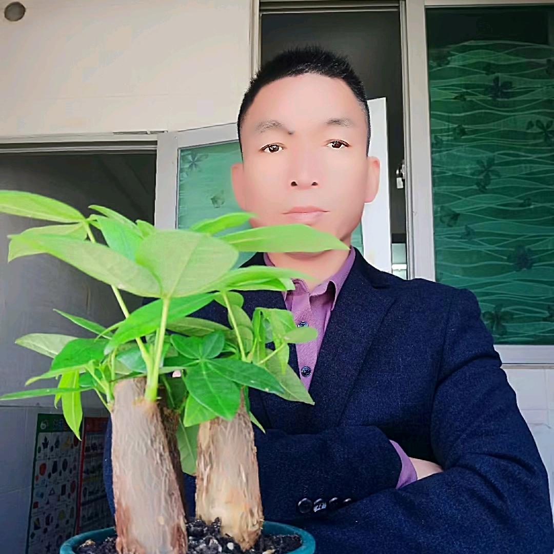 与安同行