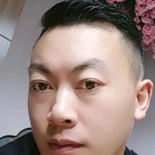 本来无一物_何处惹尘埃