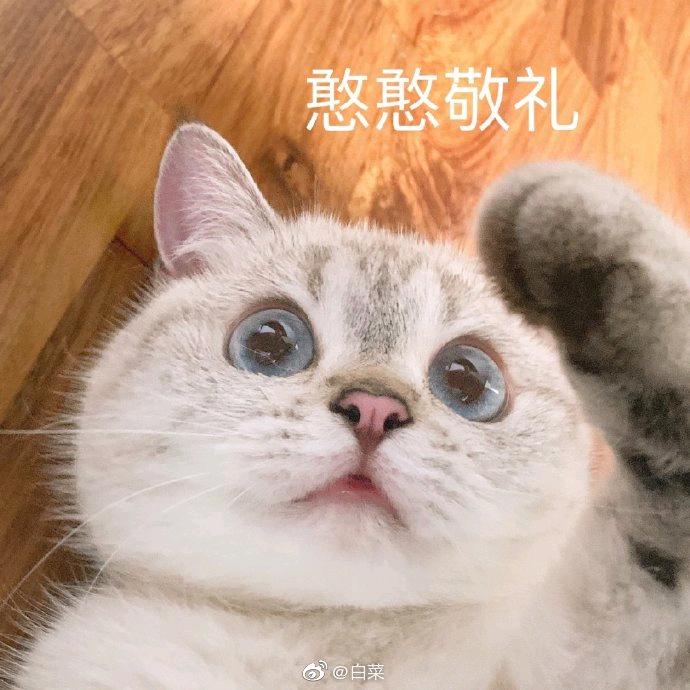 南通报菜员