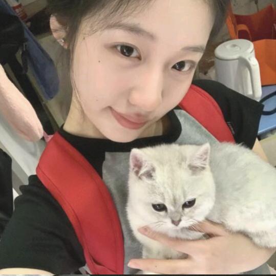 李宁宁宁宁宁宁宁