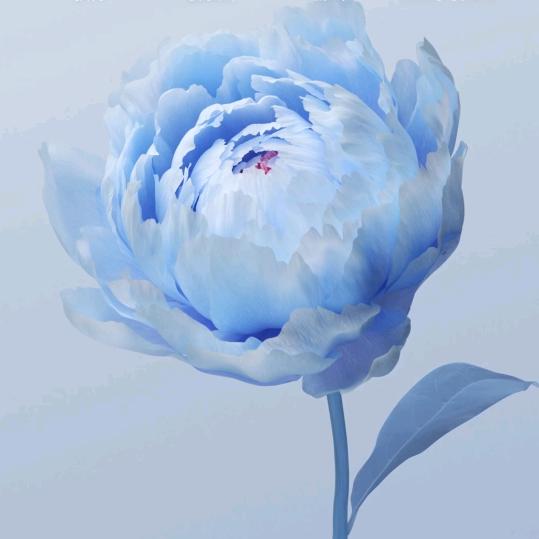 不加糖的咖啡