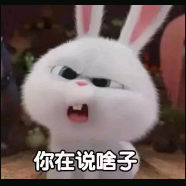 小小流氓兔