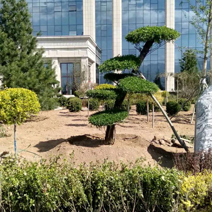 静悟砥砺奋进