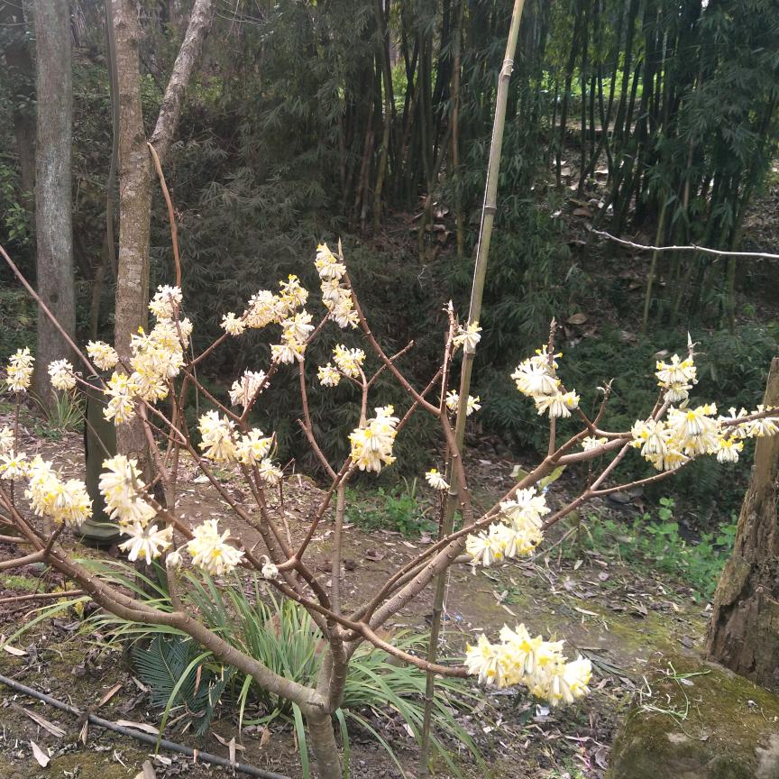 🌺熟悉到🌺陌生🌹