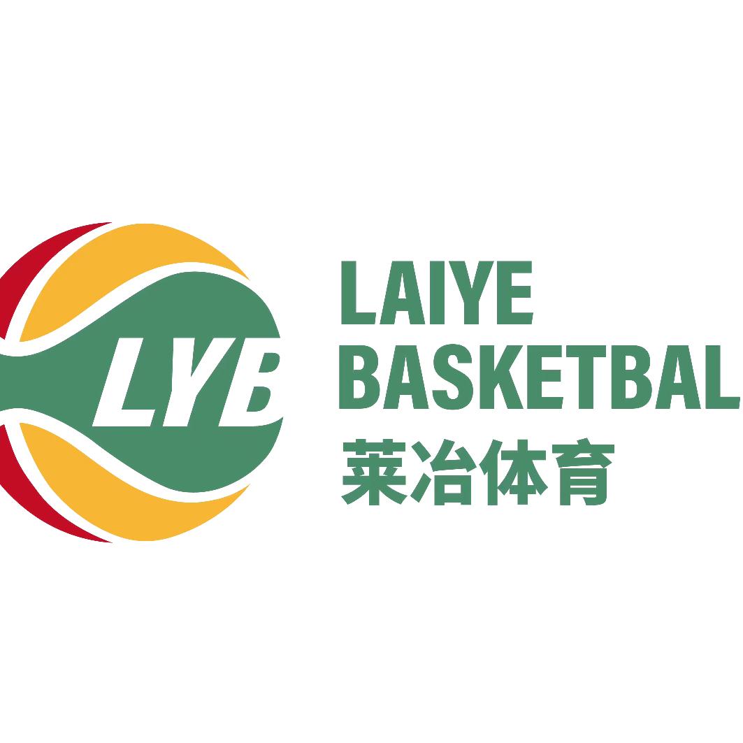 河东莱冶篮球