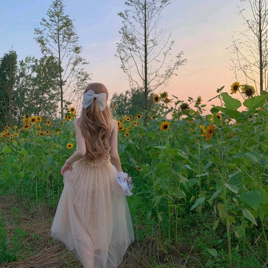 美美儿  (精品厨窗购物下单）