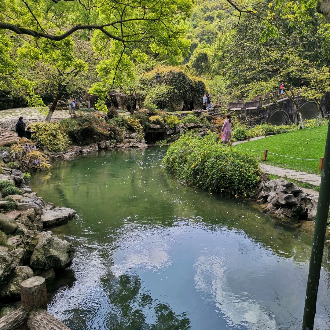 花在丛中
