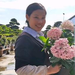 禄芊旺果树苗木旗舰店