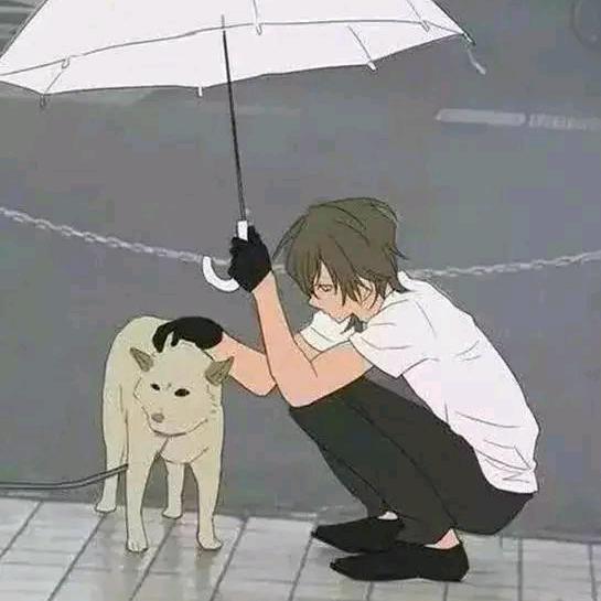 时光工匠・兜木📷