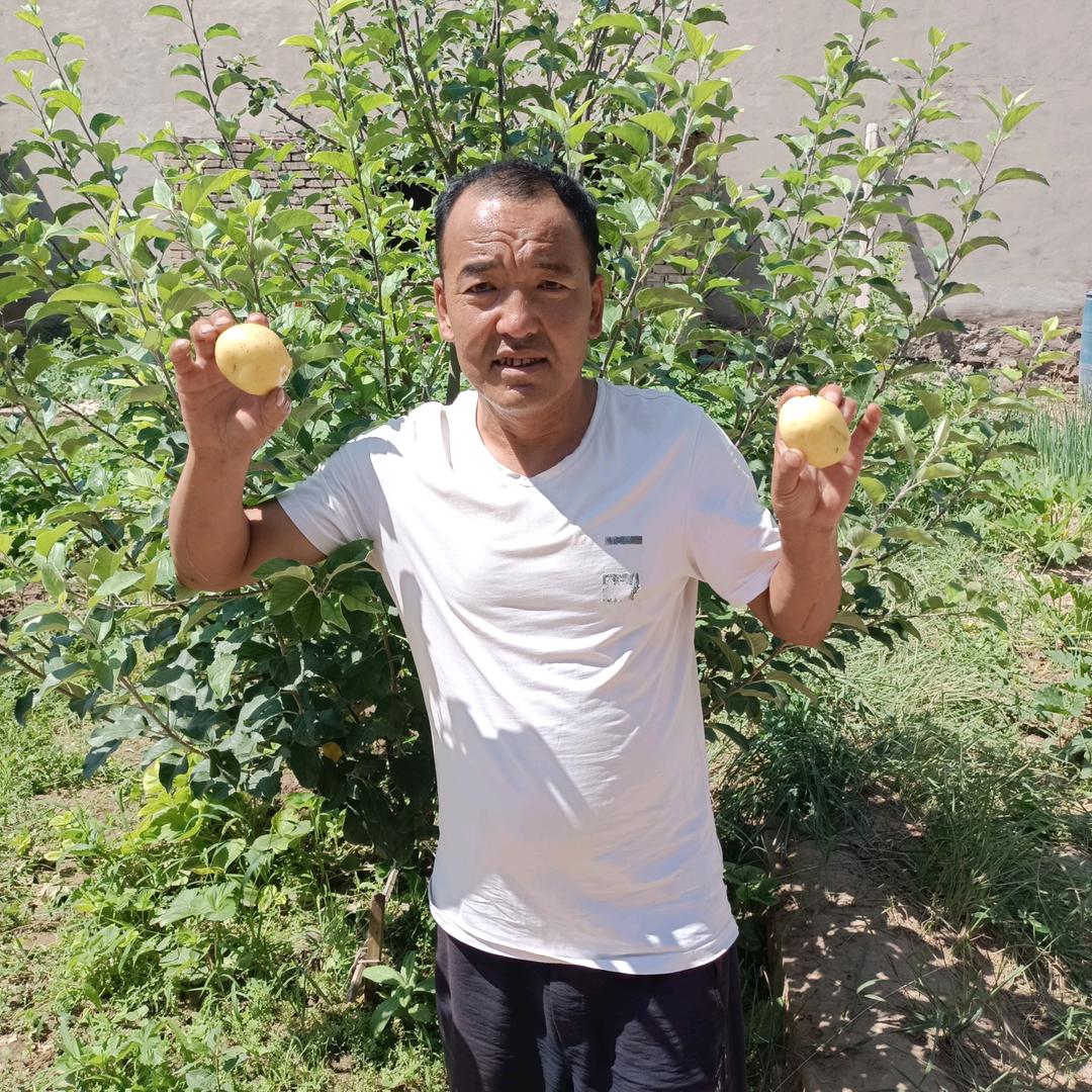 乡村老农哥