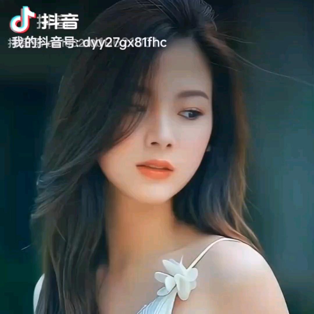 夜鹰29243673