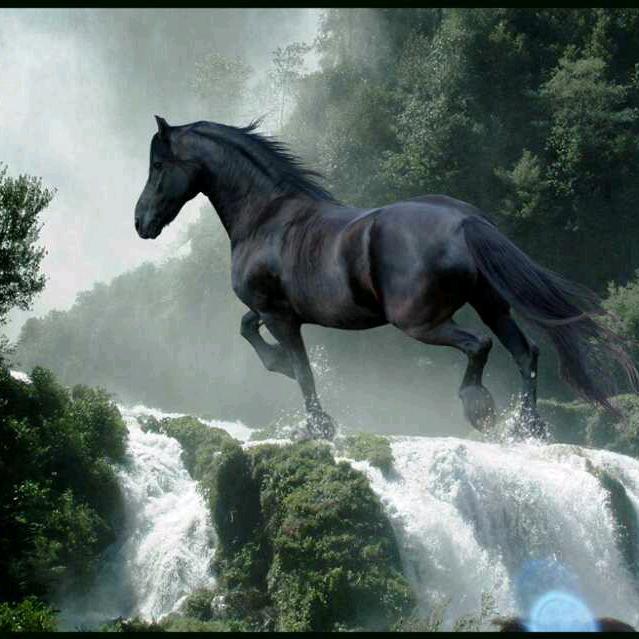 伟哥