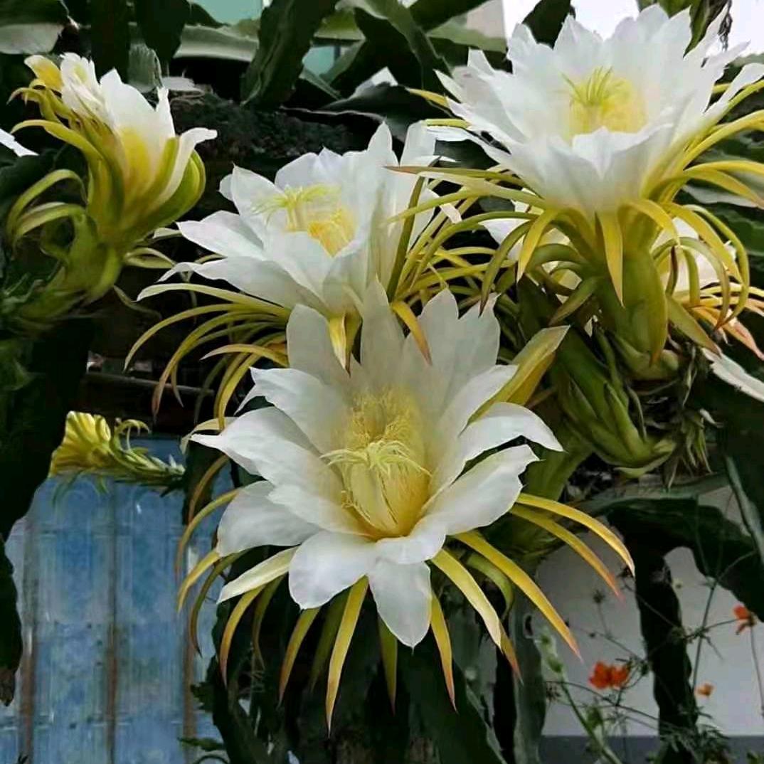 相爱容易，相处太难