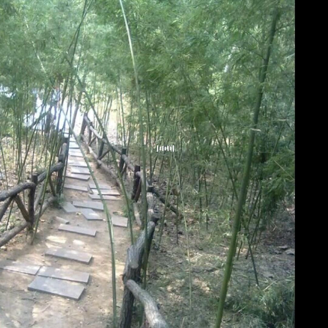 不抽了