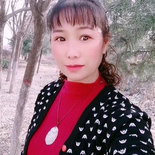 谢美美
