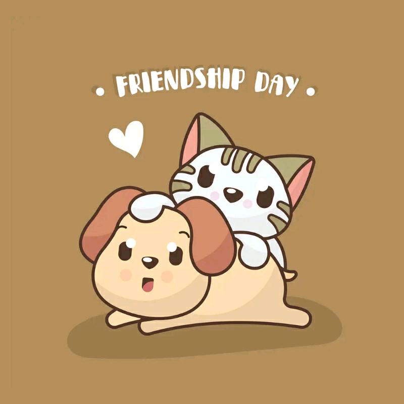🐶萌宠美图🐱