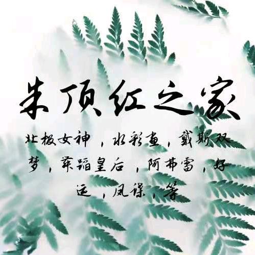 朱顶红之家