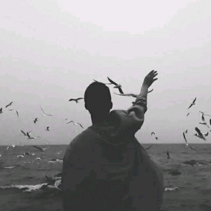 大河向东刘先生