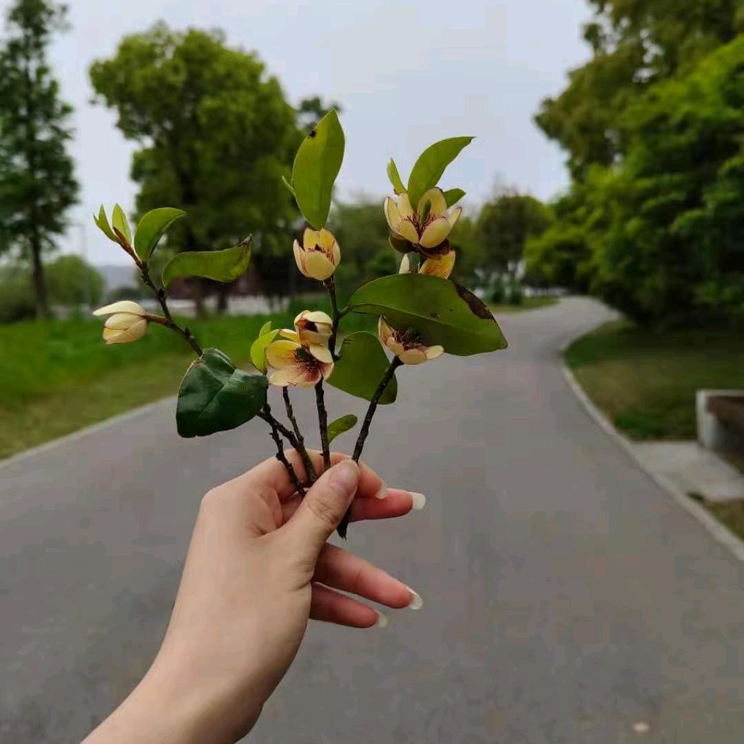 小玉儿