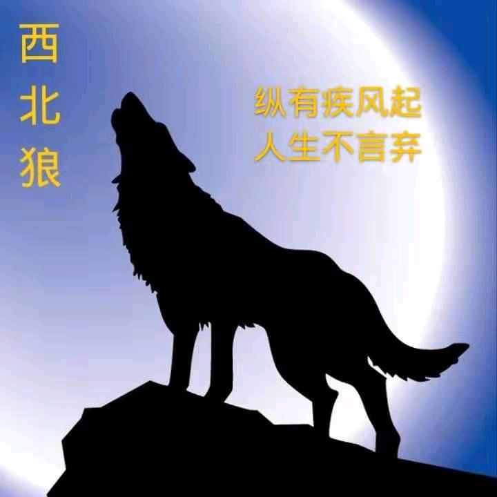 西北狼