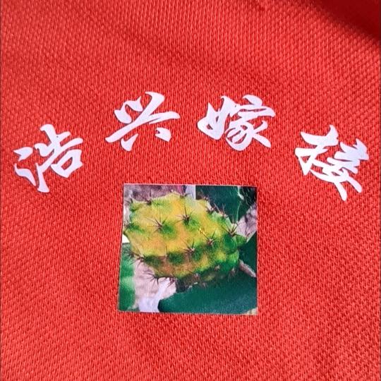 浩兴嫁接浩盛农业